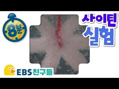 [과학실험] [사이틴 플러스] 한 스푼의 과학 - 실험 [사이언스모빌/길어져라 코끼리코]