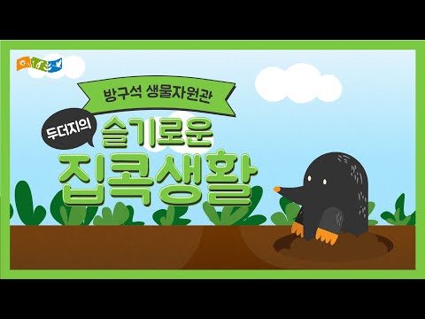 [교육] 두더지의 슬기로운 집콕 생활