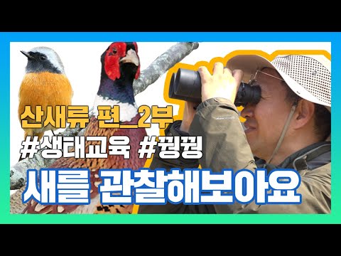 [국립생태원] 생태교육_새를 관찰해보아요 2부