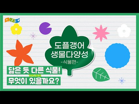 [교육] 도플갱어 생물다양성 식물편