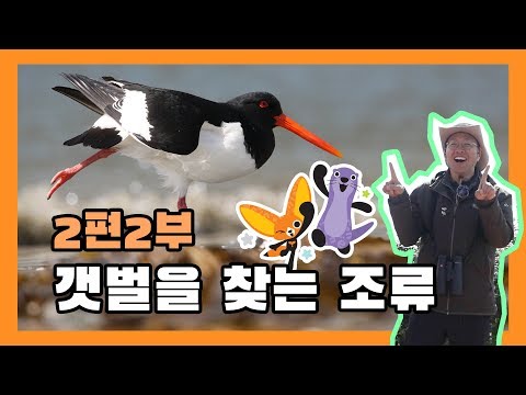 [국립생태원] 생태교육 2편 2부_갯벌을 찾는 조류