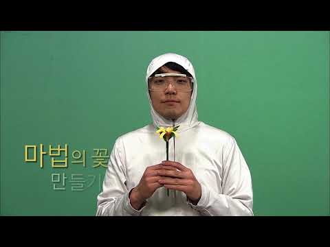 [과학실험] [사이틴 플러스] 한 스푼의 과학 - 실험 [마법의 꽃/요술해파리]