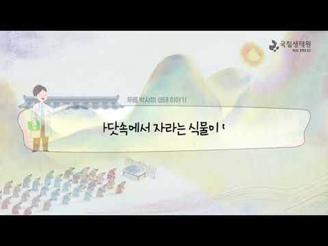 [국립생태원]05 바위에 실려 간 연오랑과 세오녀