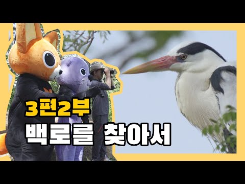 [국립생태원]생태교육 3편 2부_백로를 찾아서