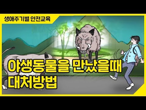 [생활안전] 멧돼지, 고라니! 야생동물을 만났을때 대처 방법