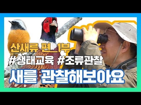 [국립생태원] 생태교육_새들을 관찰해보아요_1부