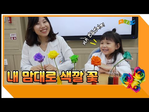 [교육] 내 맘대로 색깔 꽃