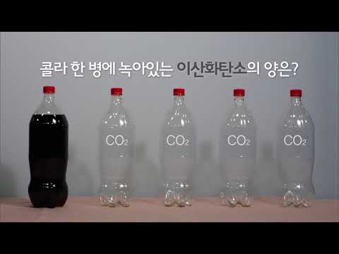 [과학상식] 과학할고양 - 페트병 아래 바닥이 꽃모양인 이유는 무엇일까?