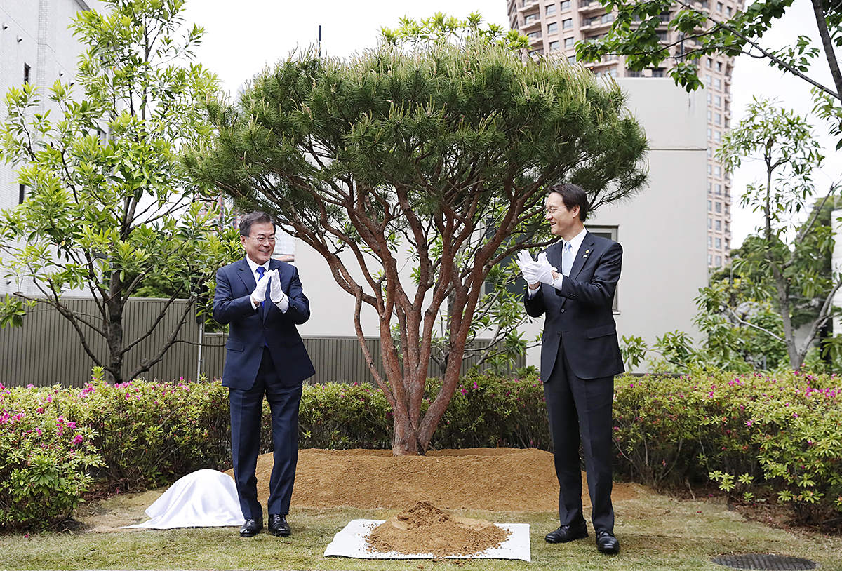 Visiting the Korean Embassy in Japan and planting a commemorative tree 