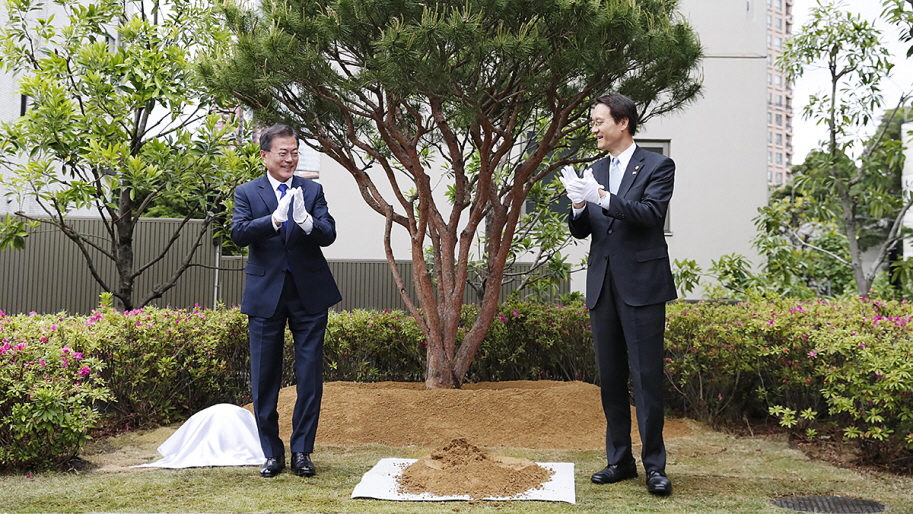 Visiting the Korean Embassy in Japan and planting a commemorative tree