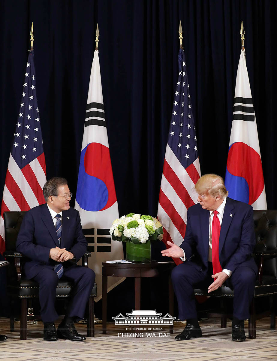 Addressing the United Nations Climate Action Summit 2019 in New York