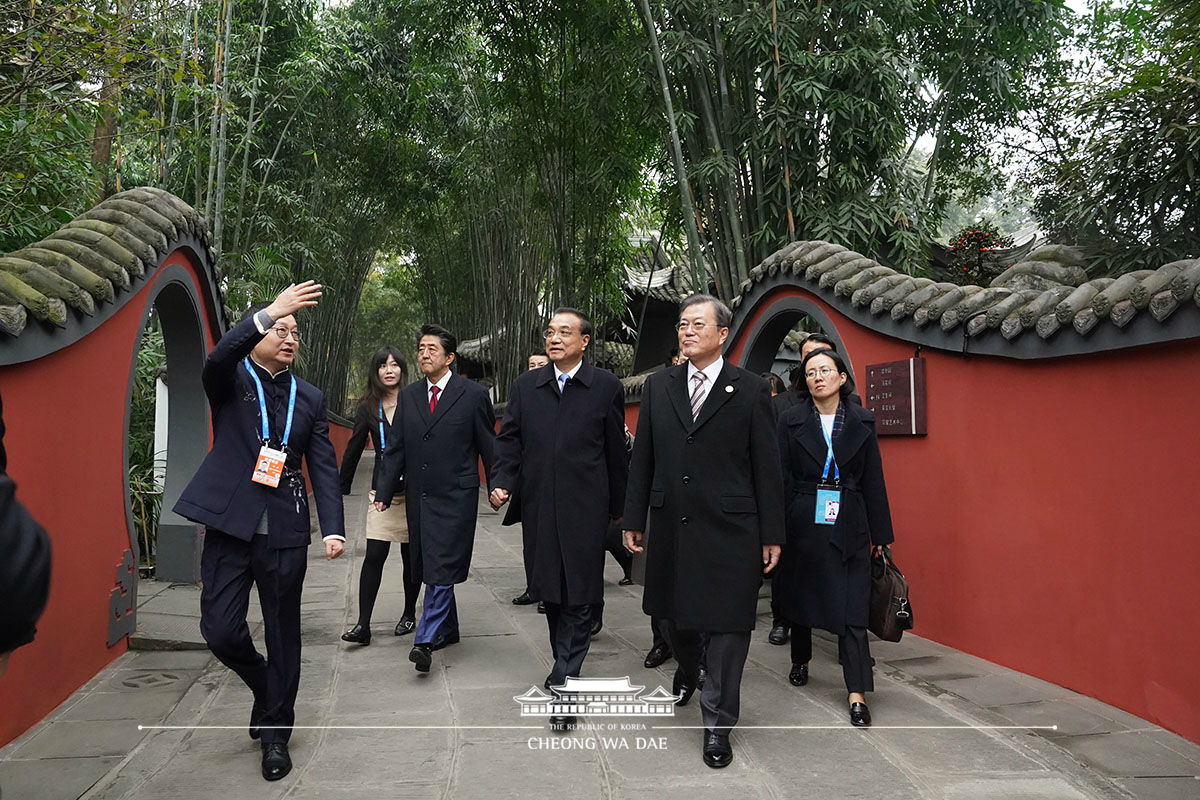 Attending an event with the Chinese Premier and Japanese Prime Minister to celebrate the 20th anniversary of trilateral cooperation 