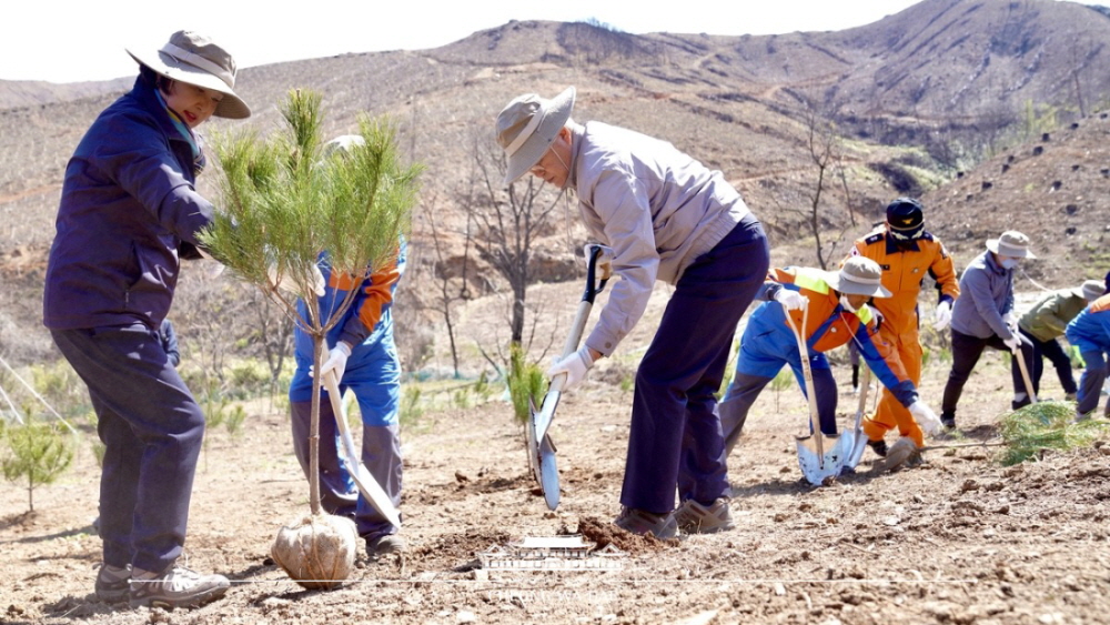 President Moon Jae-in and first lady Kim Jung-sook on April 5 plant an upright Geumgang tree on the occasion of Arbor Day in Okkye-myeon Township in Gangneung, Gangwon-do Province. The township was ravaged last year by mountain fires in the province.