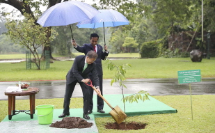 Planting a commemorative tree