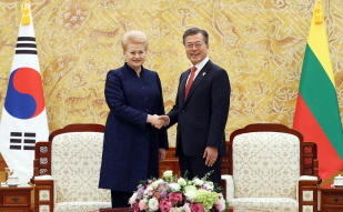 Holding a summit at Cheong Wa Dae with President Dalia Grybauskaite of Lithuania