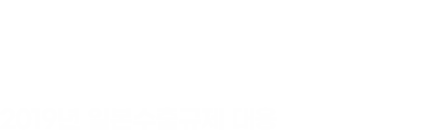 2019년 일본수출규제 대응