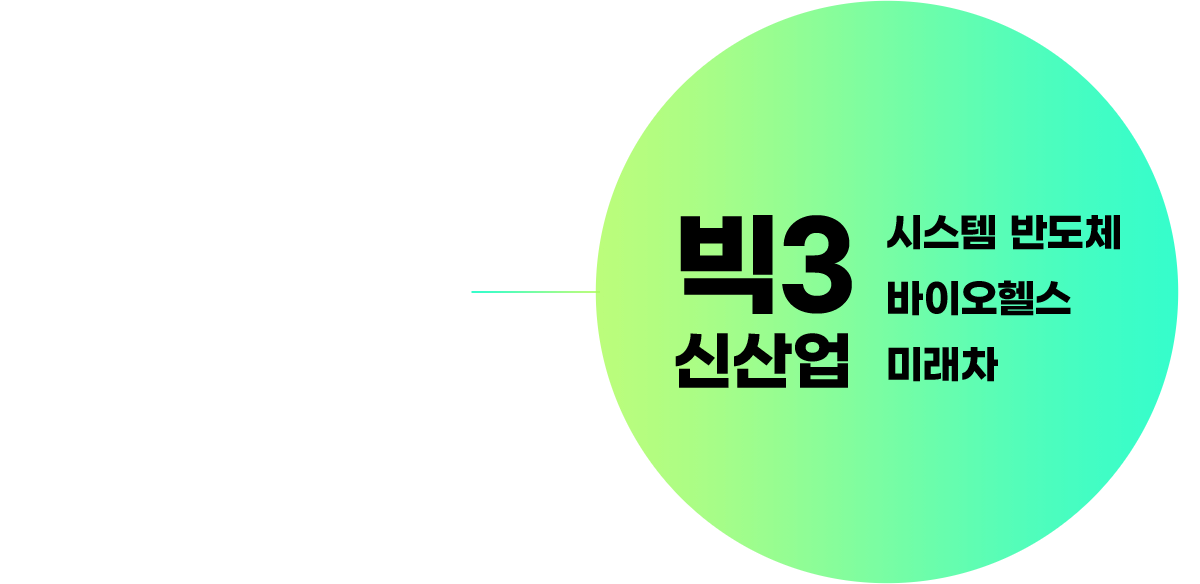 빅3 신산업: 시스템 반도체, 바이오헬스, 미래차