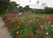 Seoulpark_s.jpg