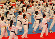 taekwondo_expo_2015_s.jpg