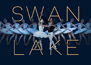 171024 Swan lake.jpg