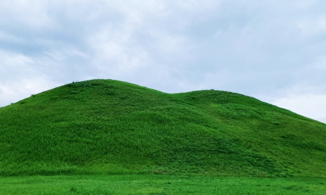 crop_ec46cf6cb0e04e968b586d2859f23944.jpg