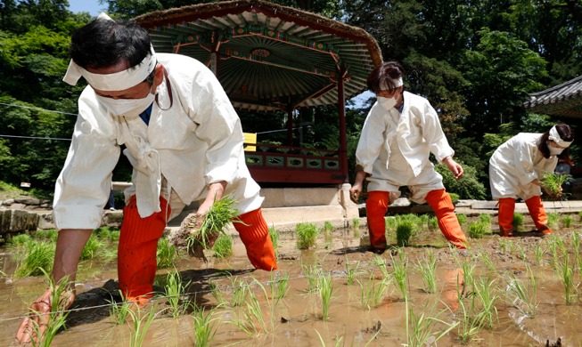 crop_PhotoNews_Changdeokgung_20210524.jpg