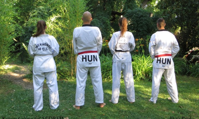 crop_Para Taekwondo.jpg