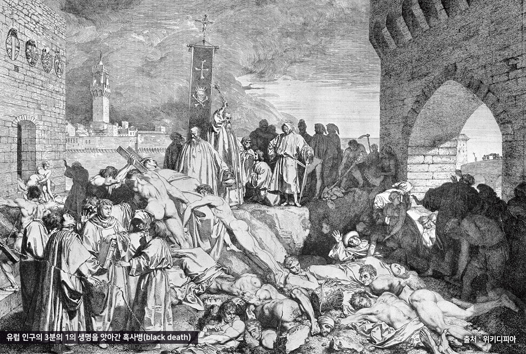 유럽 인구의 3분의 1의 생명을 앗아간 흑사병(black death)
