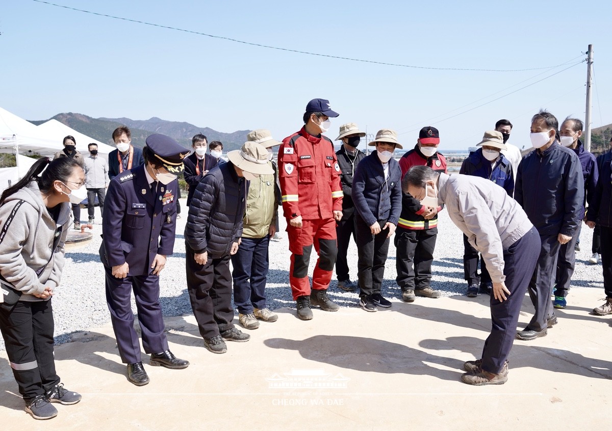 강원도 재조림지 식목