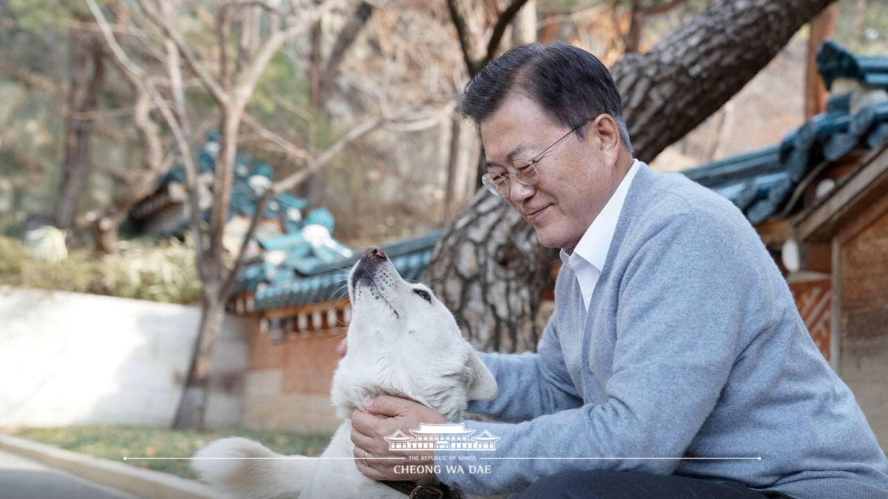 오랜만에 찡찡이, 마루, 토리, 곰이 소식을 전합니다