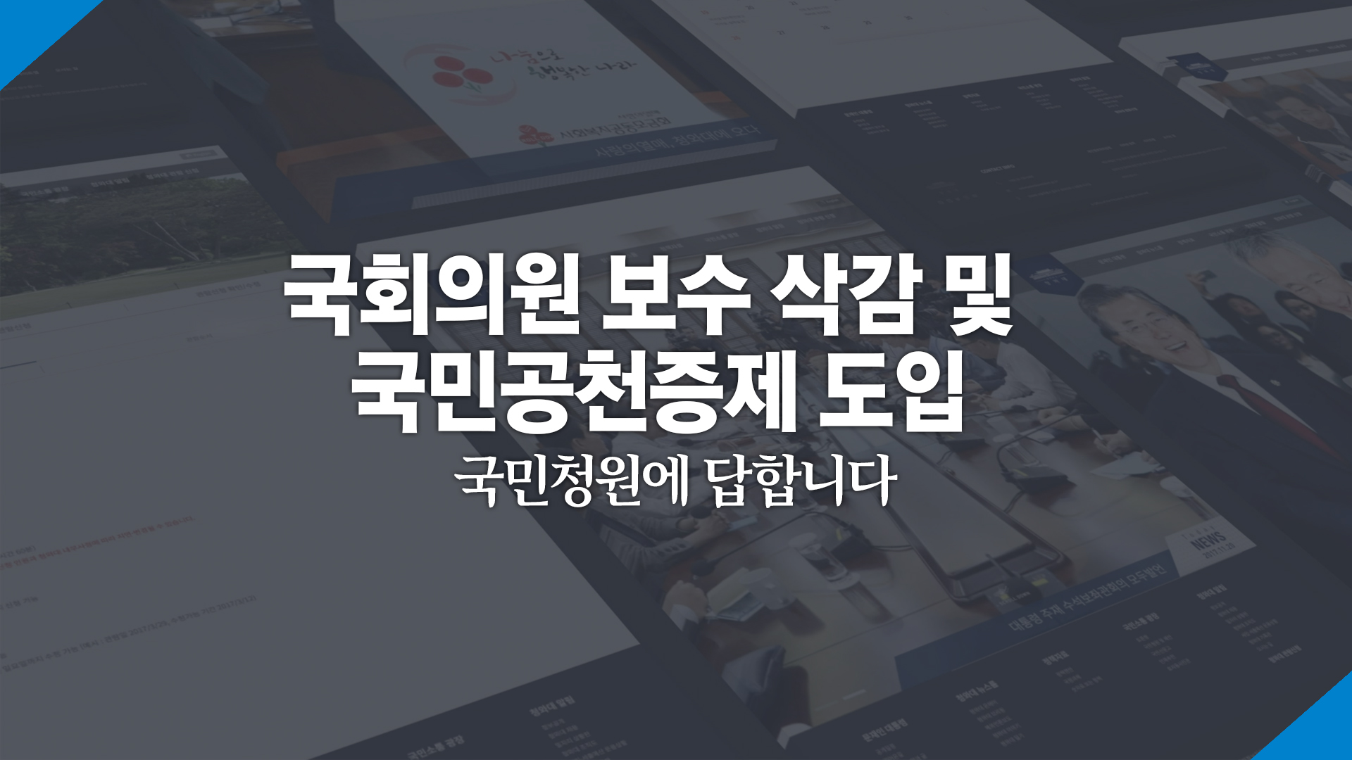 국회의원 보수 삭감 및 국민공천증제 도입 국민청원에 답합니다