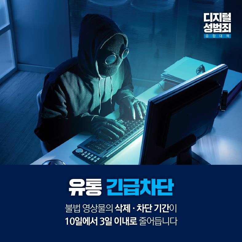 디지털 성범죄 종합대책