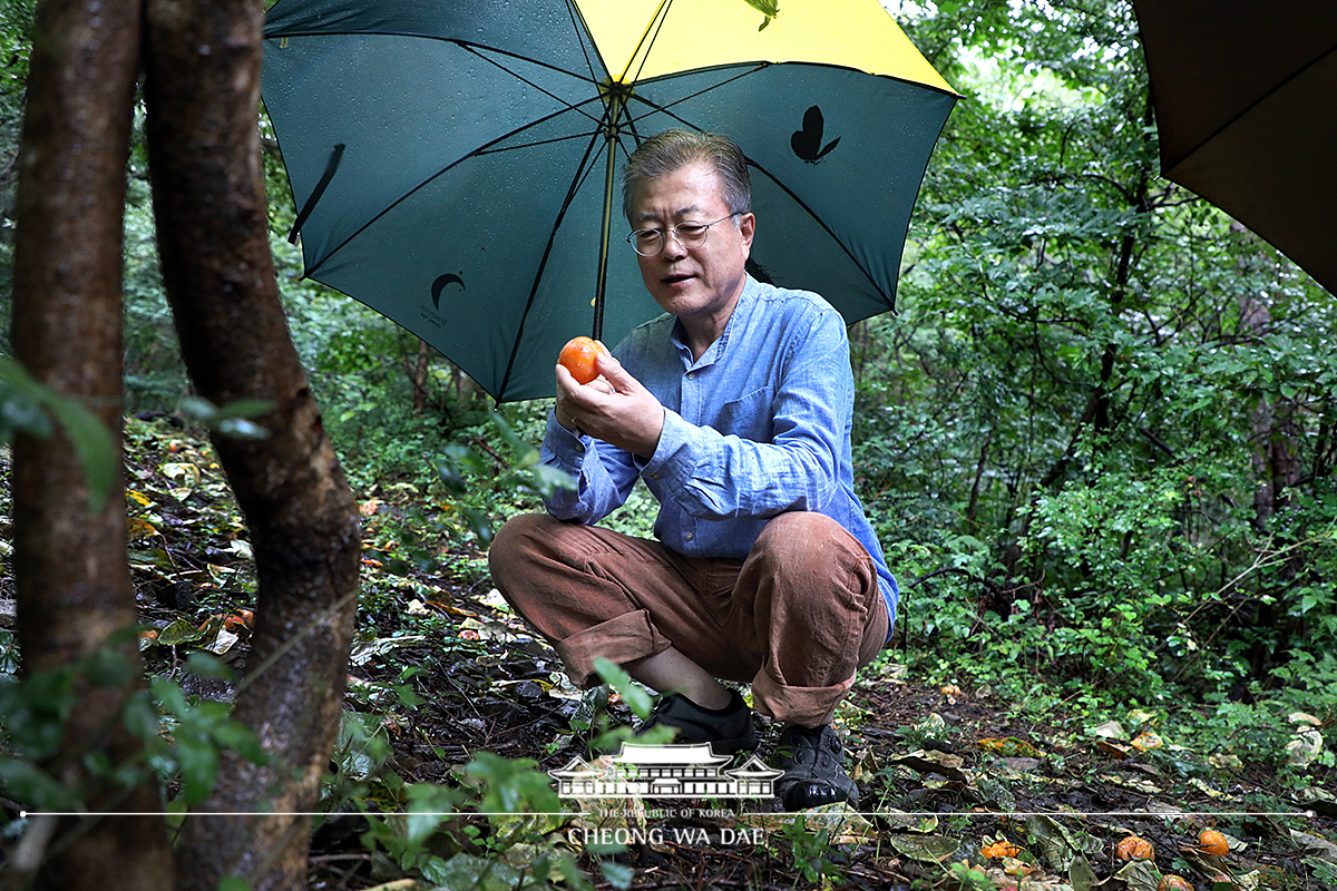 양산 사저 뒷산 산책