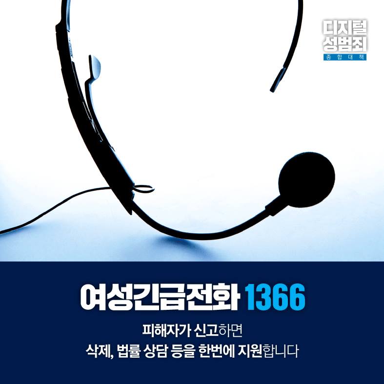 디지털 성범죄 종합대책