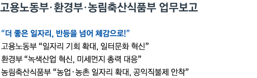 고용노동부•환경부•농림축산식품부 업무보고 “더 좋은 일자리, 반등을 넘어 체감으로!” 고용노동부 '일자리 기회 확대, 일터문화 혁신' 환경부 '녹색산업 혁신, 미세먼지 총력 대응' 농림축산식품부 '농업•농촌 일자리 확대, 공익직불제 안착'