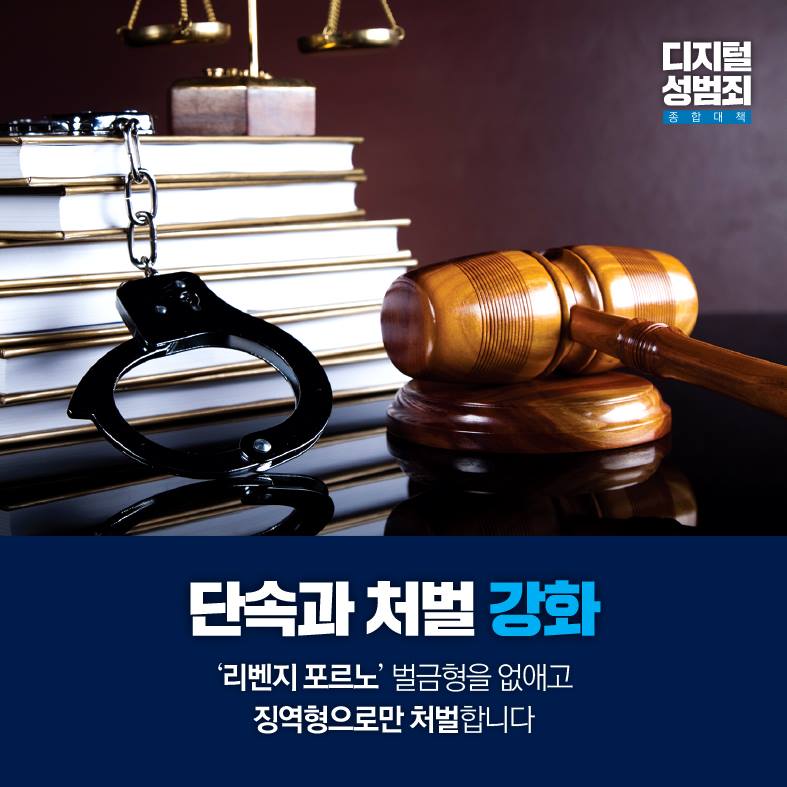 디지털 성범죄 종합대책