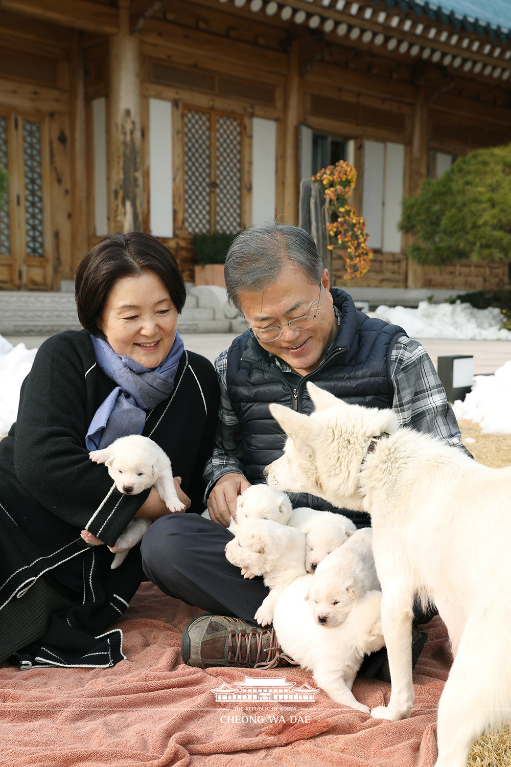 북에서 온 풍산개 '곰이'의 새끼들