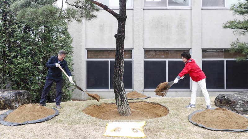 식목일 기념식수