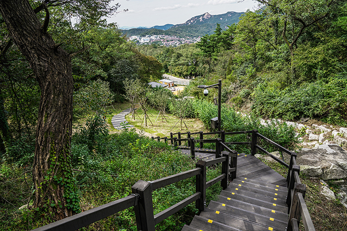 군 순찰로를 보완해 만든 탐방로
