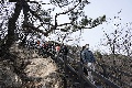 식목일 기념식수 및 북악산 성곽 남측 산행