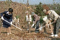 식목일 행사