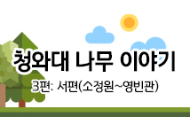 청와대 나무 이야기 3편:서편(소정원~영빈관)