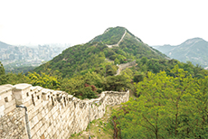 북악이 열리니 서울이 보이네